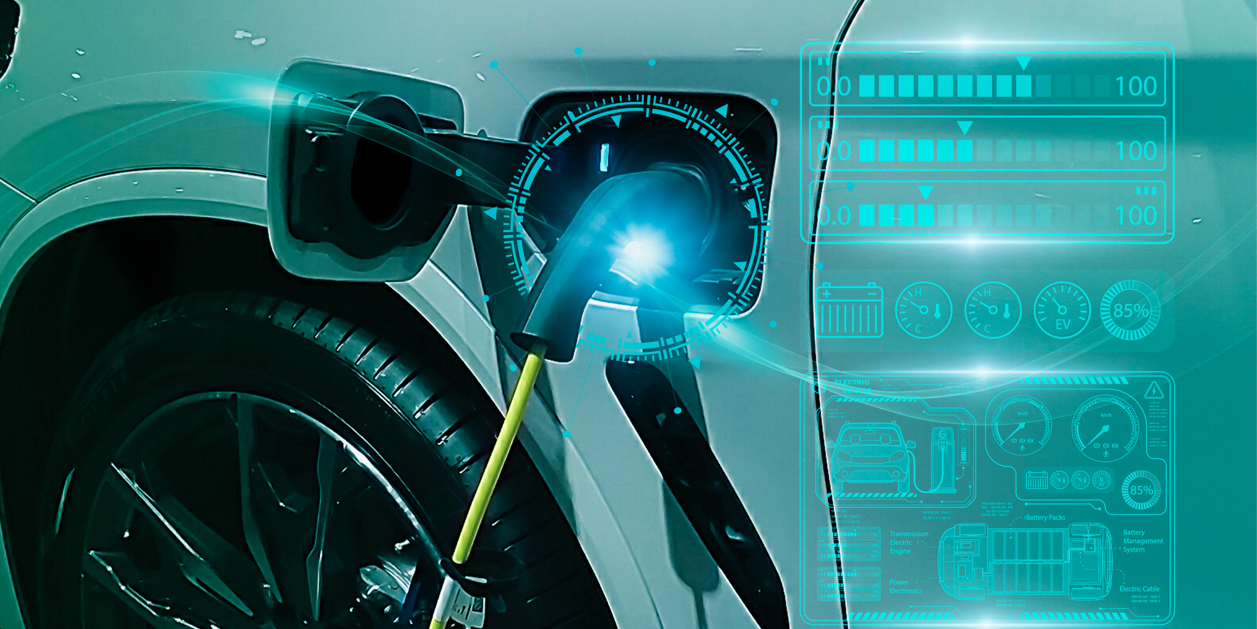 adobestock_585841769.jpeg adobestock_585841769.jpeg