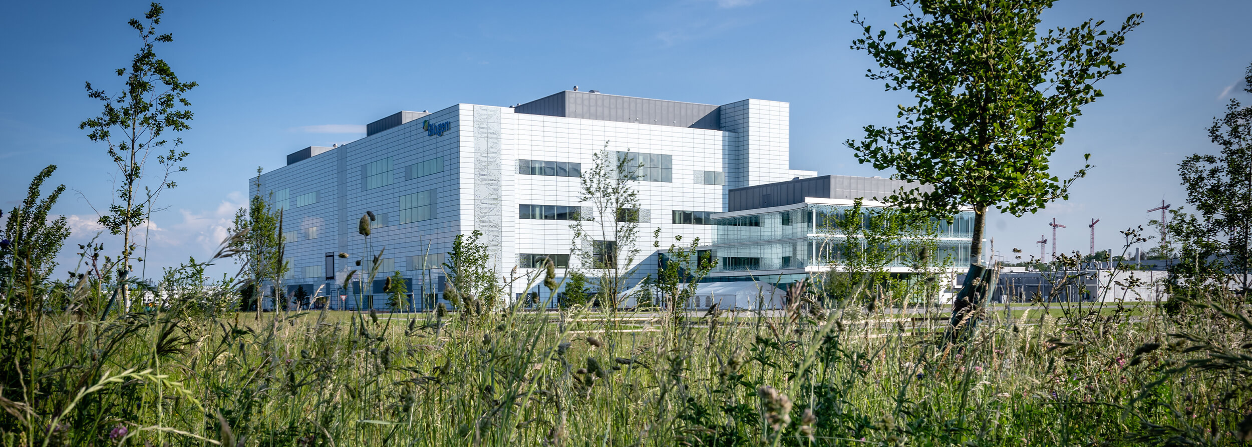 biogen-head.jpg biogen-head.jpg